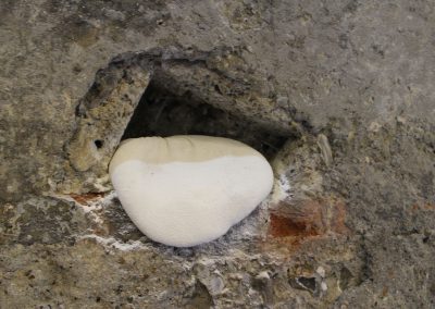 Old Mill | 2018 | Flour, muslin