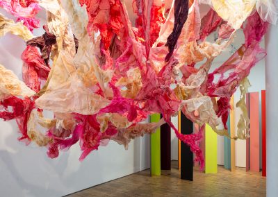Sky skin | 2024 | organza, latex, pins | 4M x 3M x 3M